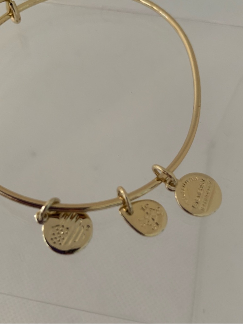 Alex and Ani Gold Paw Charm Adjustable Pet Bangle - Like New! - Picture 3 of 5